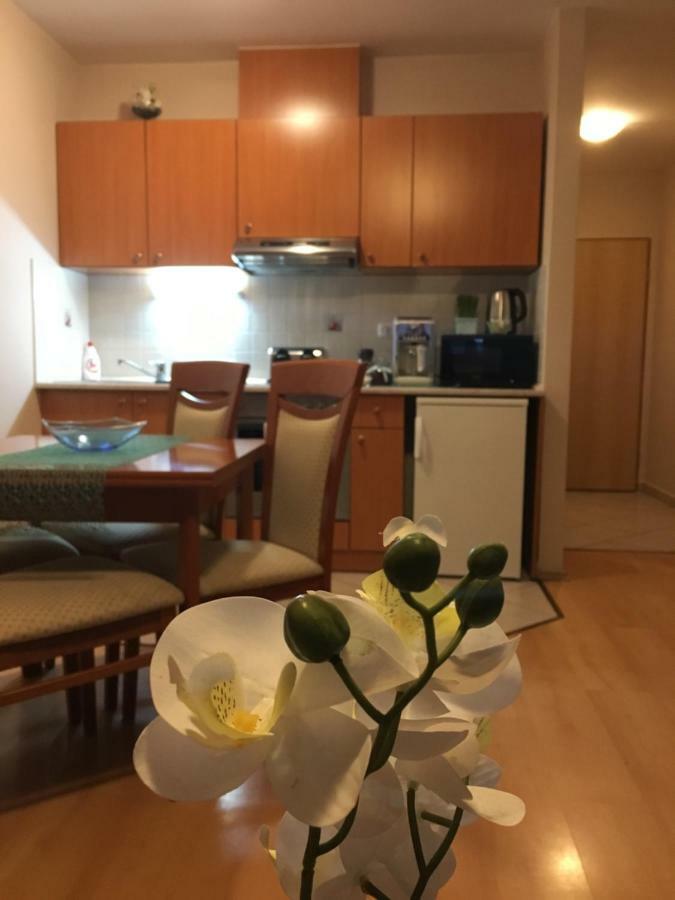 Orchidea Apartman Hegykő Εξωτερικό φωτογραφία