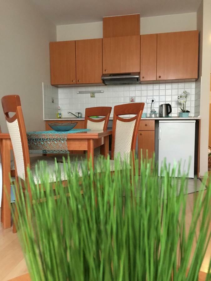 Orchidea Apartman Hegykő Εξωτερικό φωτογραφία