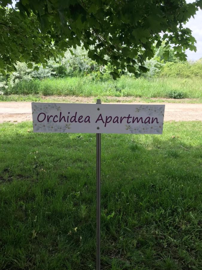 Orchidea Apartman Hegykő Εξωτερικό φωτογραφία